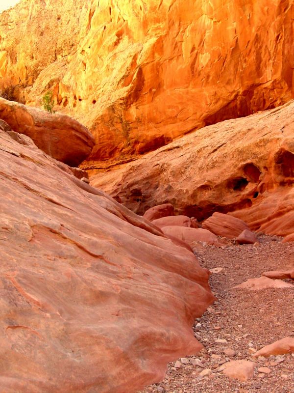 04160302LittleWildHorse (1021)